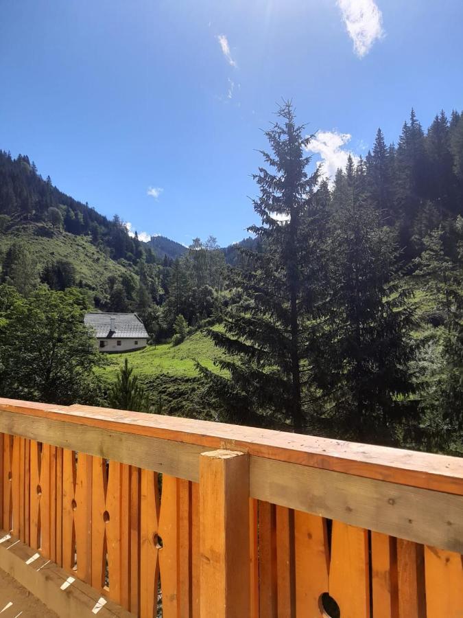 Ferienwohnung Anika Kleinlobming Exterior foto
